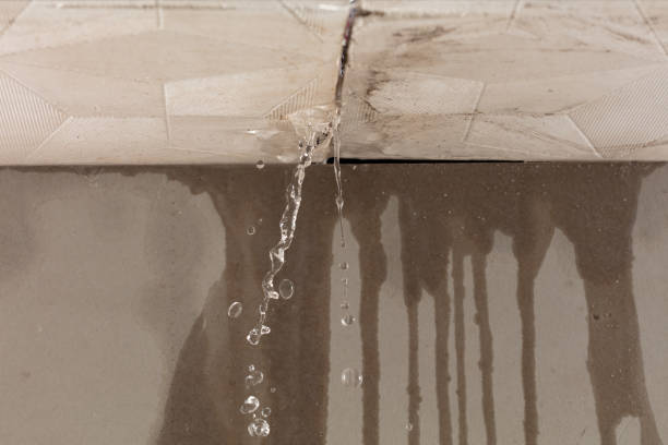 Professional Water Damage Repair technician working in Dacula, GA